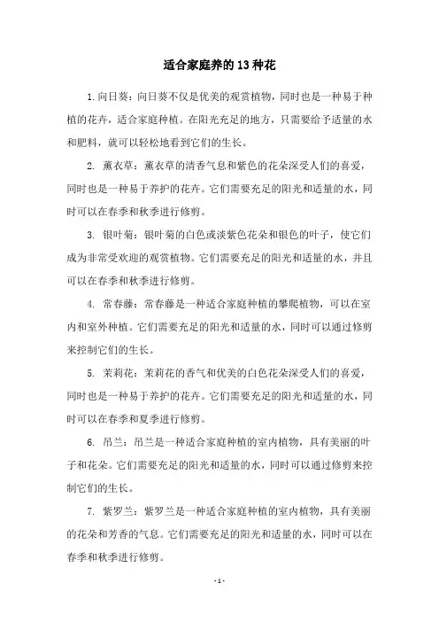 适合家庭养的13种花