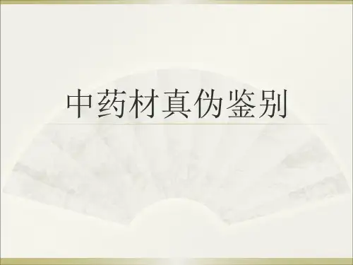 中药饮片真假辨别课件