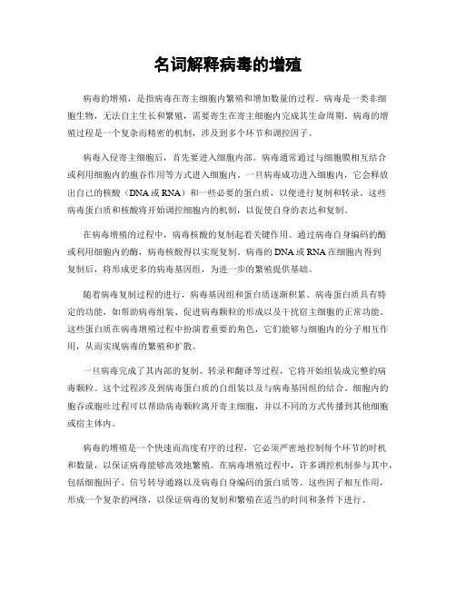 名词解释病毒的增殖