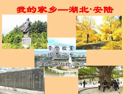 我的家乡简介--湖北安陆