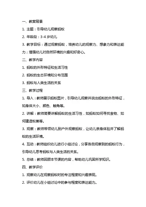 幼儿园主题探究《引导幼儿观察蚂蚁》教案