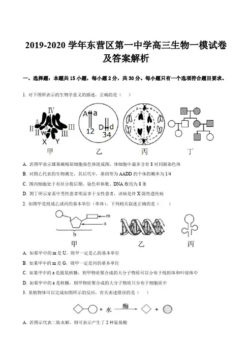 2019-2020学年东营区第一中学高三生物一模试卷及答案解析