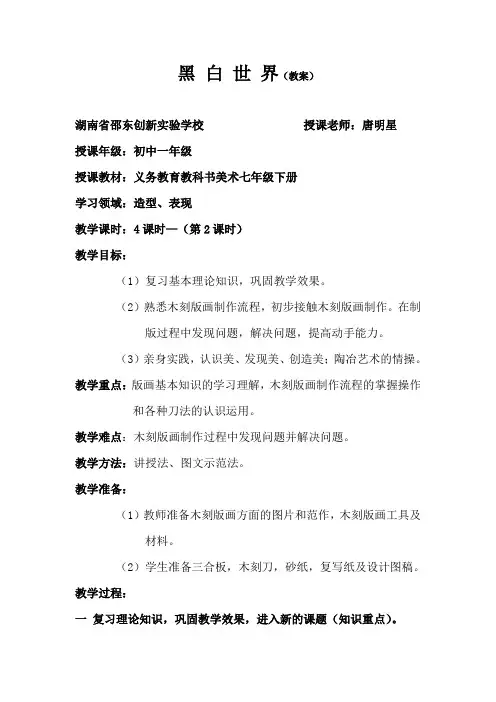 黑白世界教案(公开课)