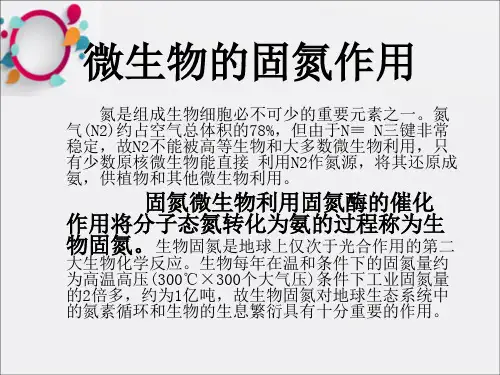 《微生物的固氮作用》PPT课件