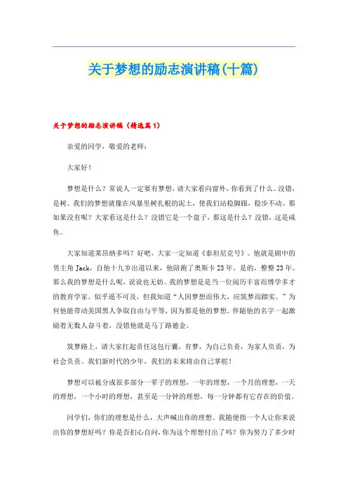 关于梦想的励志演讲稿(十篇)