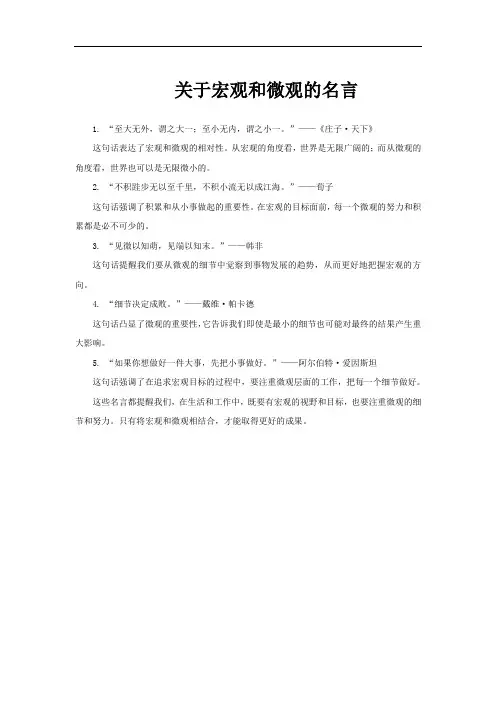 关于宏观和微观的名言