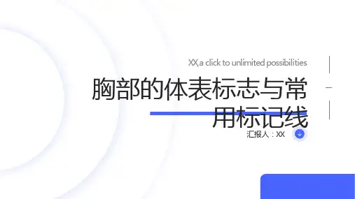 胸部检查第一节胸部的体表标志与常用标记线