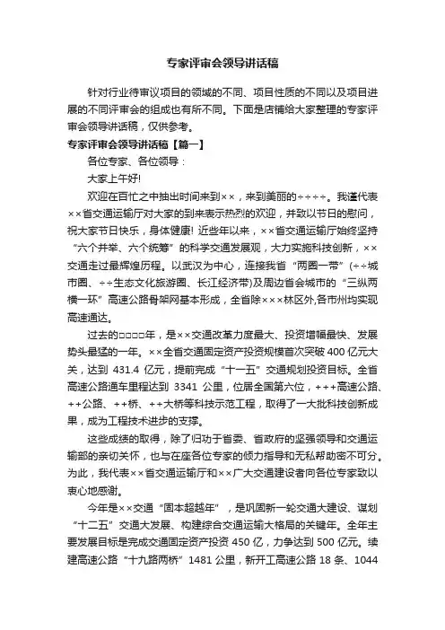 专家评审会领导讲话稿
