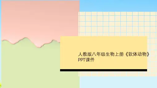 人教版八年级生物上册《软体动物》PPT课件