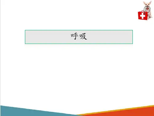动物呼吸系统—呼吸生理(动物解剖生理课件)