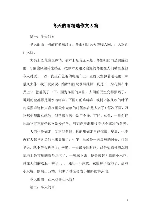 冬天的雨精选作文3篇