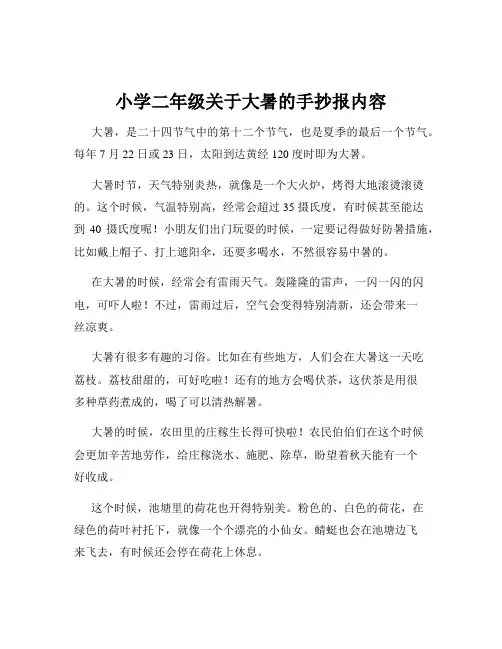 小学二年级关于大暑的手抄报内容