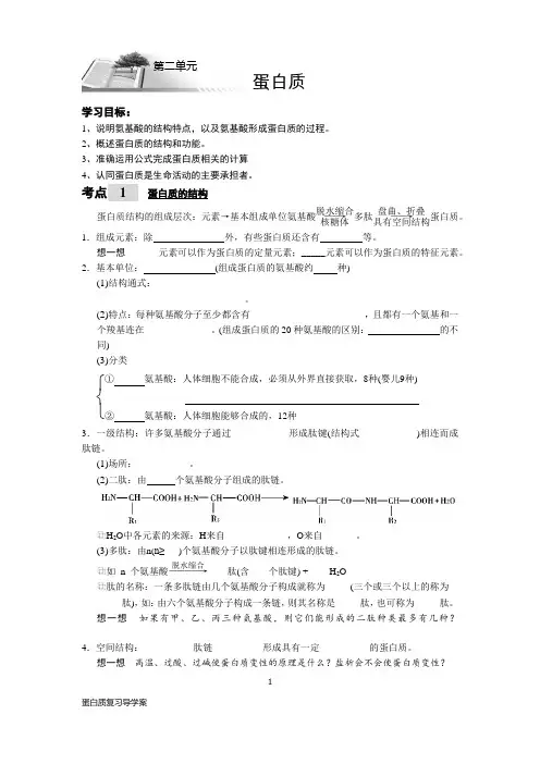 蛋白质一轮复习导学案