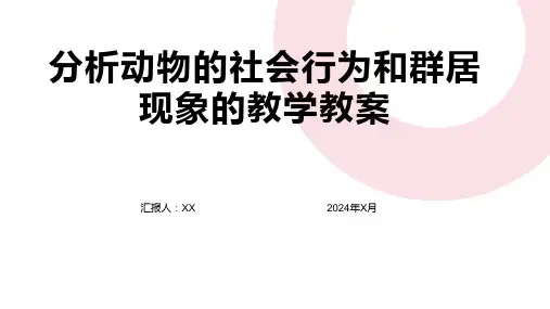 分析动物的社会行为和群居现象的教学教案