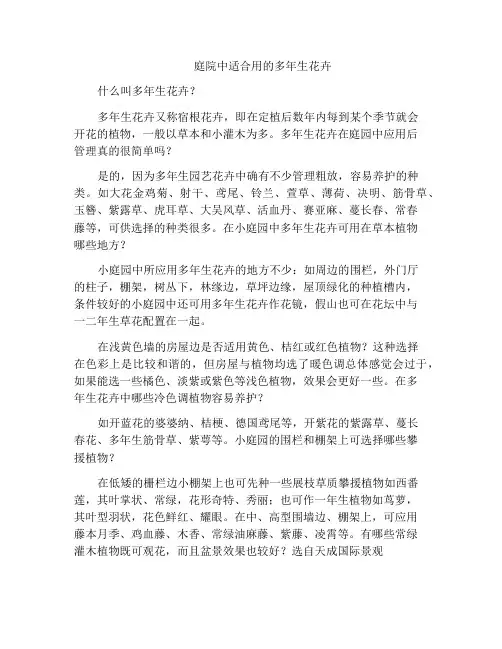 庭院中适合用的多年生花卉