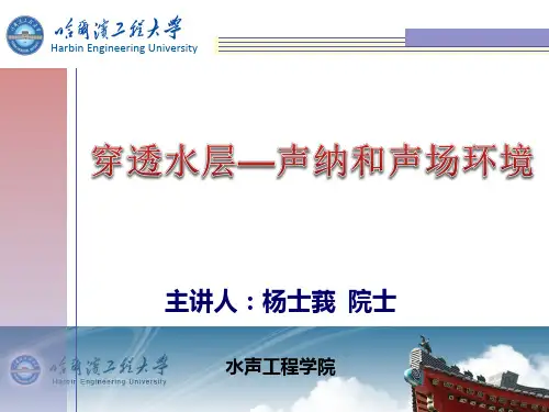 水下振动,噪声及相关问题研究