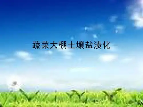 土壤盐渍化
