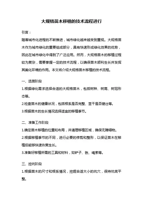 大规格苗木移植的技术流程进行