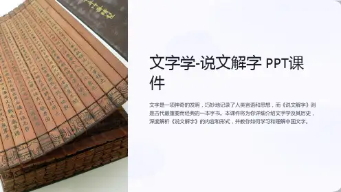 《文字学-说文解字》课件