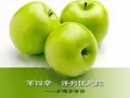 第四章-评判性思维 PPT课件