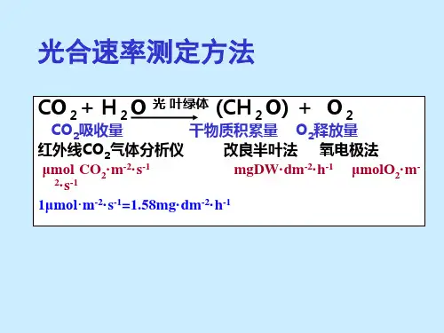 影响光合作用的因素