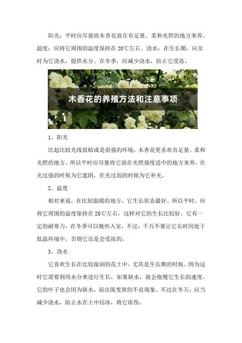 木香花的养殖方法和注意事项