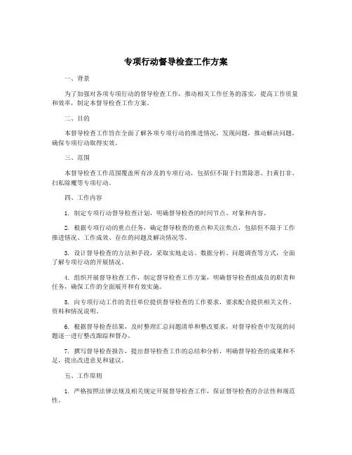 专项行动督导检查工作方案