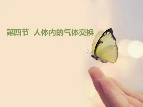 《人体内的气体交换》ppt实用课件