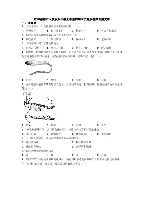 呼和浩特市人教版八年级上册生物期末试卷及答案百度文库