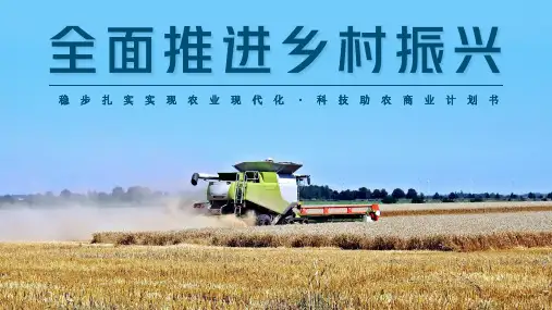 全面推进乡村振兴农业商业计划书PPT模板