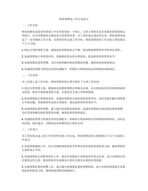 财政预算处工作计划范文