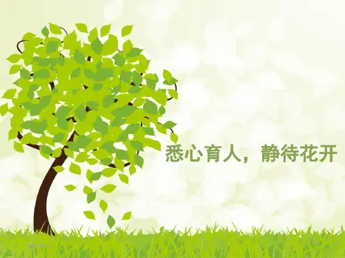 班主任技能大赛ppt