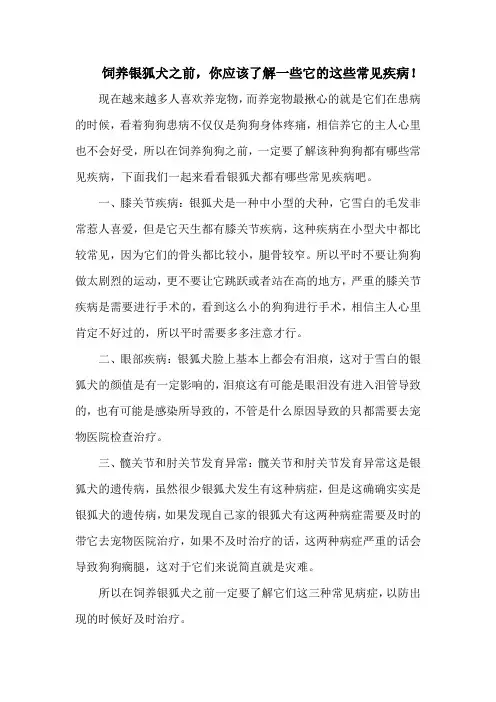 饲养银狐犬之前,你应该了解一些它的这些常见疾病!