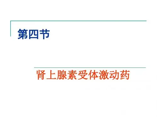 第四节  肾上腺素受体激动药
