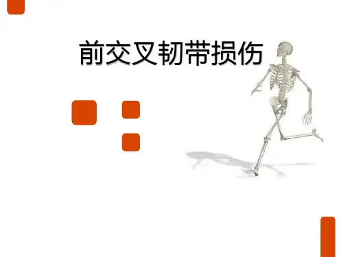 前交叉韧带损伤PPT