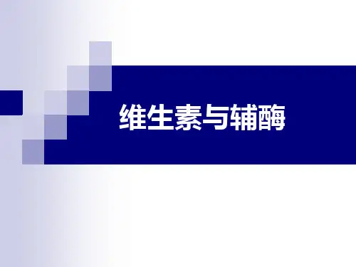 维生素与辅酶