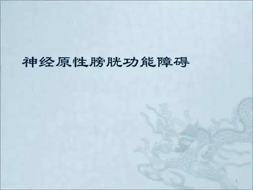 神经原性膀胱ppt课件