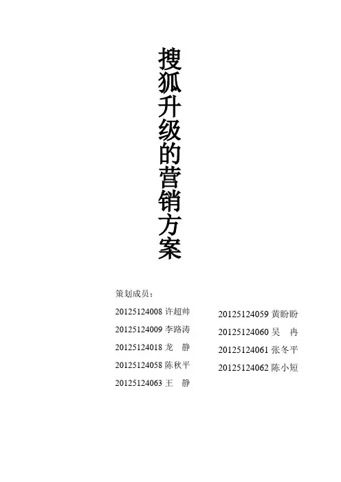 搜狐升级的营销策划方案