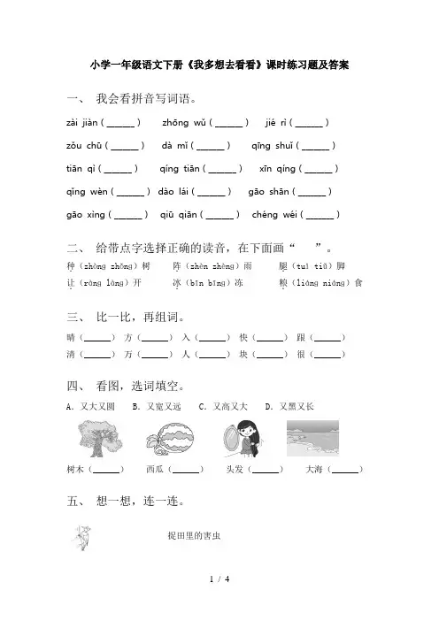 小学一年级语文下册《我多想去看看》课时练习题及答案