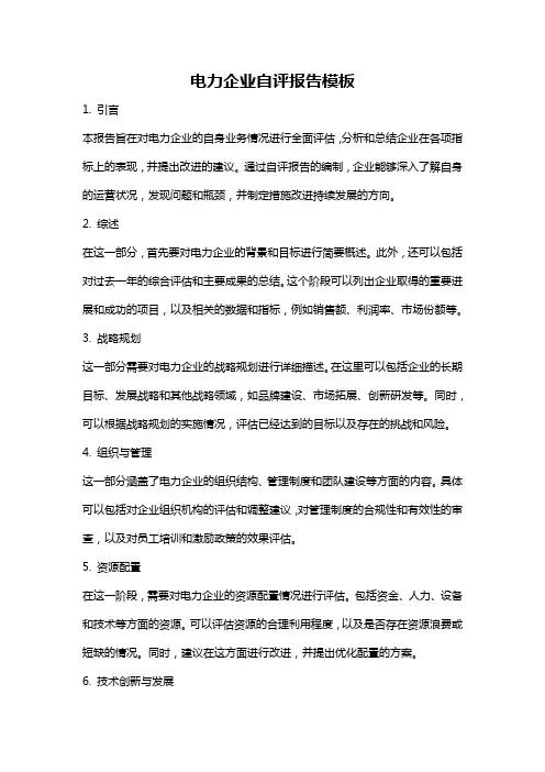 电力企业自评报告模板