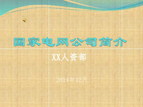 国家电网公司简介