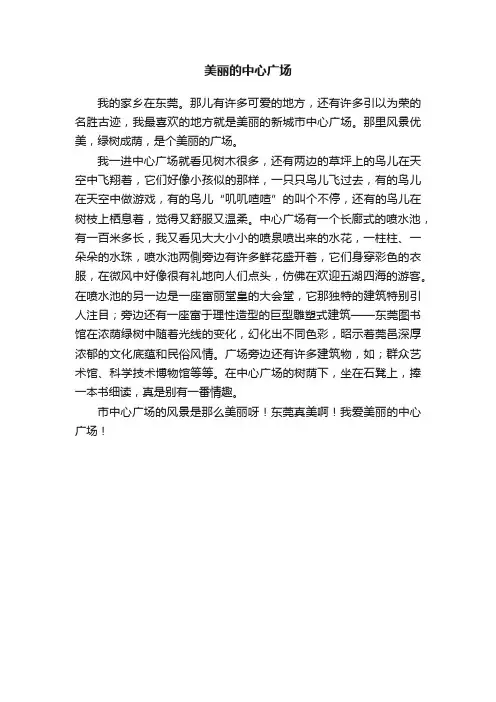 美丽的中心广场
