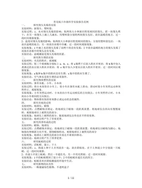 青岛版六年级科学实验报告范例