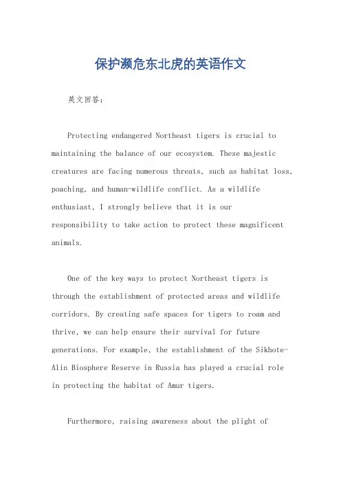 保护濒危东北虎的英语作文