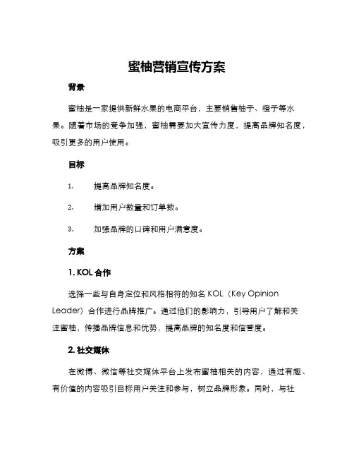 蜜柚营销宣传方案
