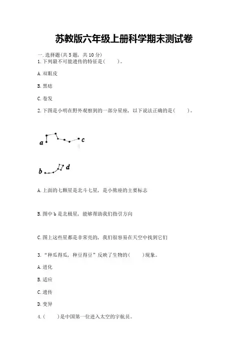 苏教版六年级上册科学期末测试卷完整参考答案