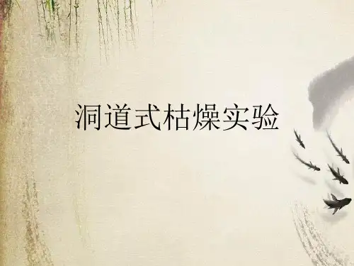 洞道式干燥实验