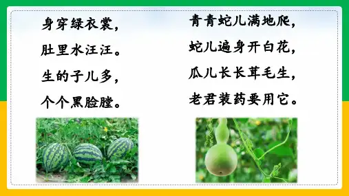 14《我要的是葫芦》课件--2024-2025学年部编版语文二年级上册