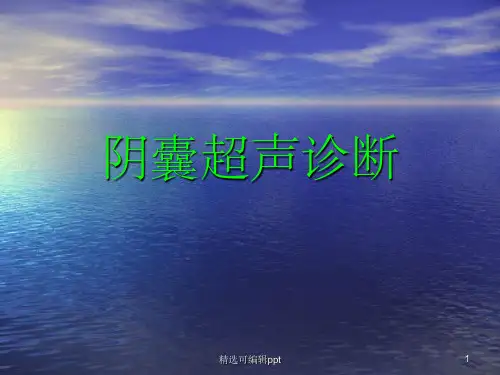 阴囊超声诊断课件