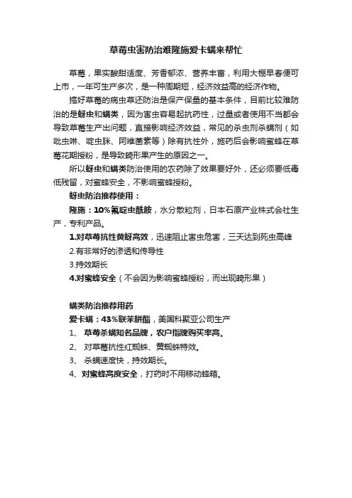 草莓虫害防治难隆施爱卡螨来帮忙